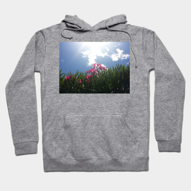 Pink Flowers And Sky Hoodie by BlakCircleGirl